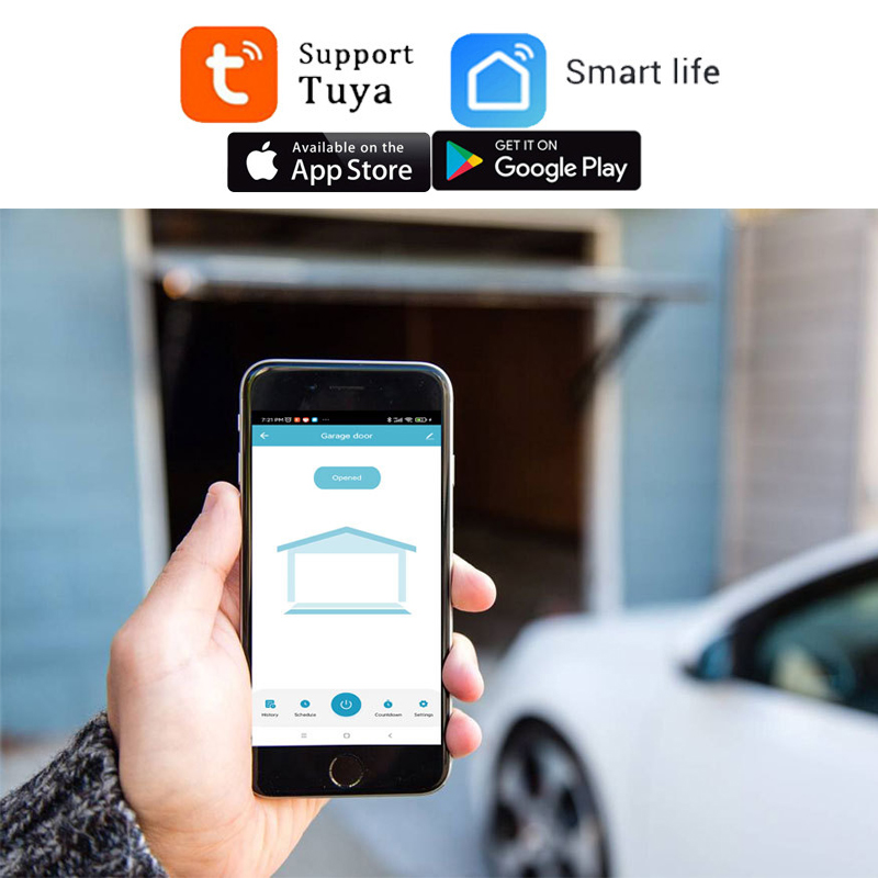 TUYA WIFI 2.4G Smart Garage Do - Smart Garage Door Opener recension och pris