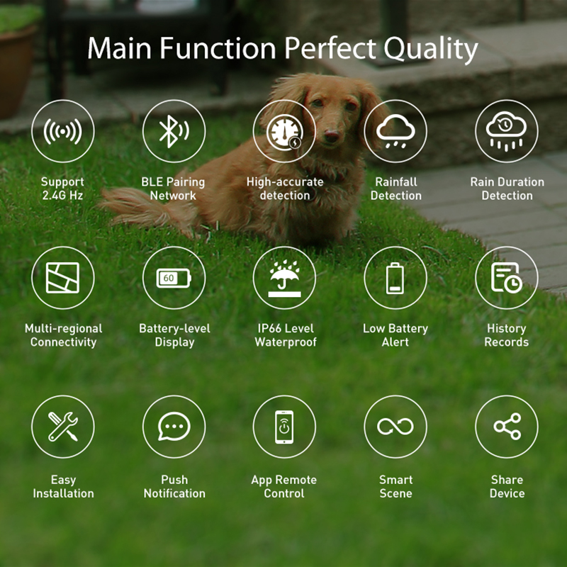 WiFi Rain Sensor Rainfall Dura - Smart Home Nas recension och pris